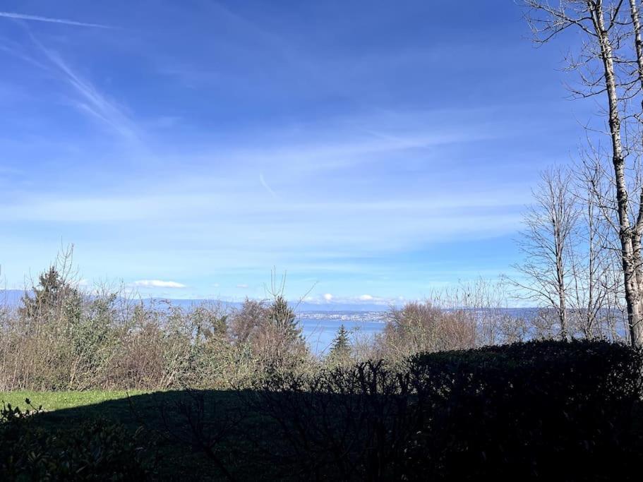 Lugrin Proche Du Lac Et Montagne Dış mekan fotoğraf