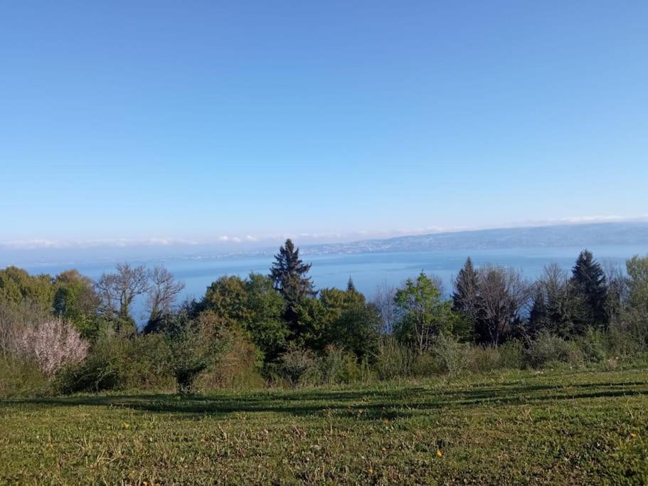 Lugrin Proche Du Lac Et Montagne Dış mekan fotoğraf