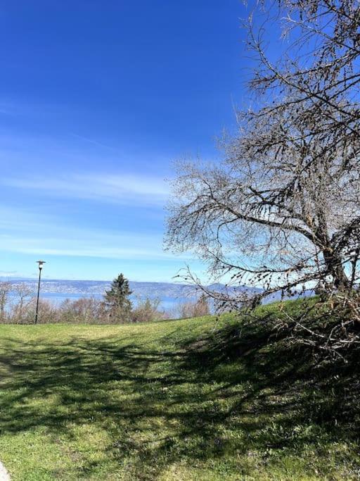 Lugrin Proche Du Lac Et Montagne Dış mekan fotoğraf